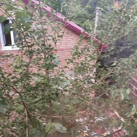 Appartement Киевская 43 à Khorol Extérieur photo